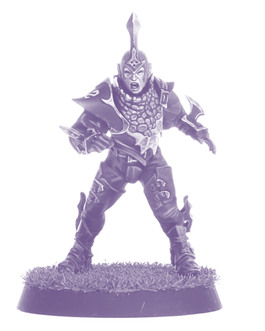 Dark Elf Lineman 2